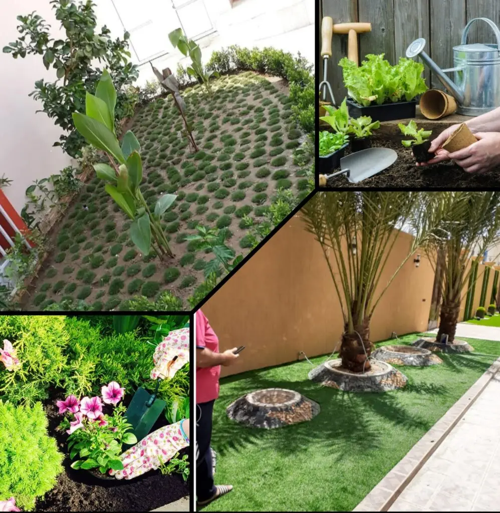 صورة عملية التحضير وزراعة النباتات في حديقة بمكة المكرمة، لضمان نمو صحي وتنسيق جذاب للمساحات الخضراء